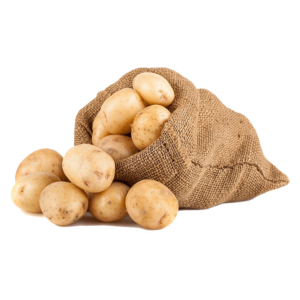 Potato