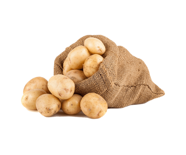 Potato